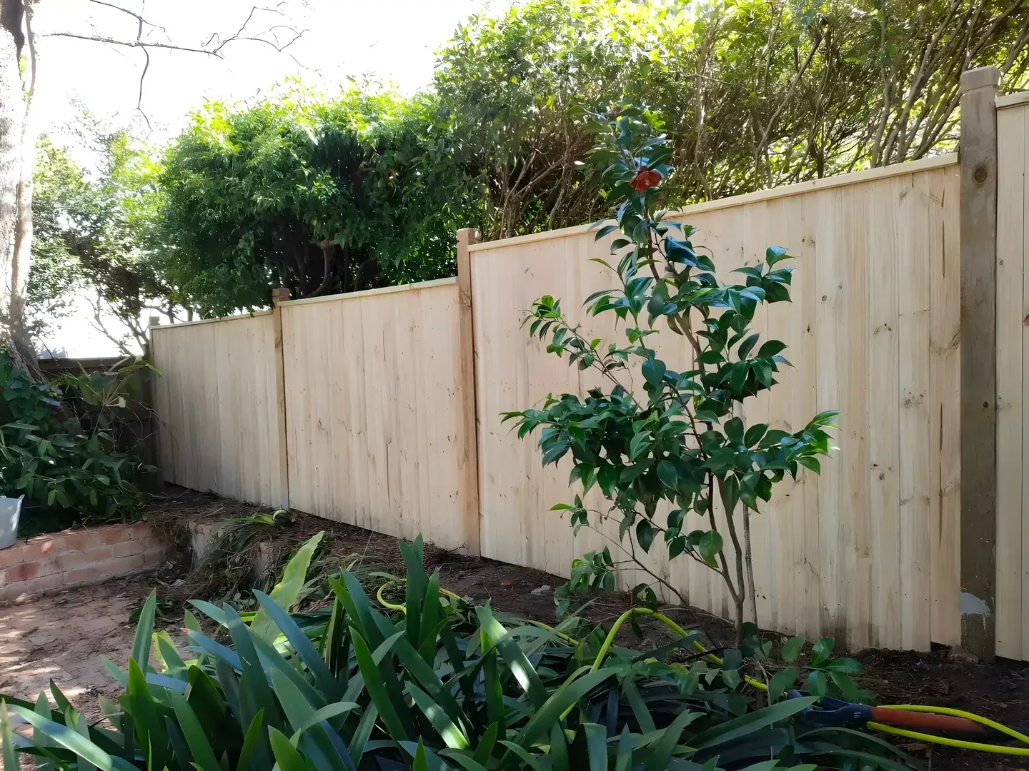 Fencing project